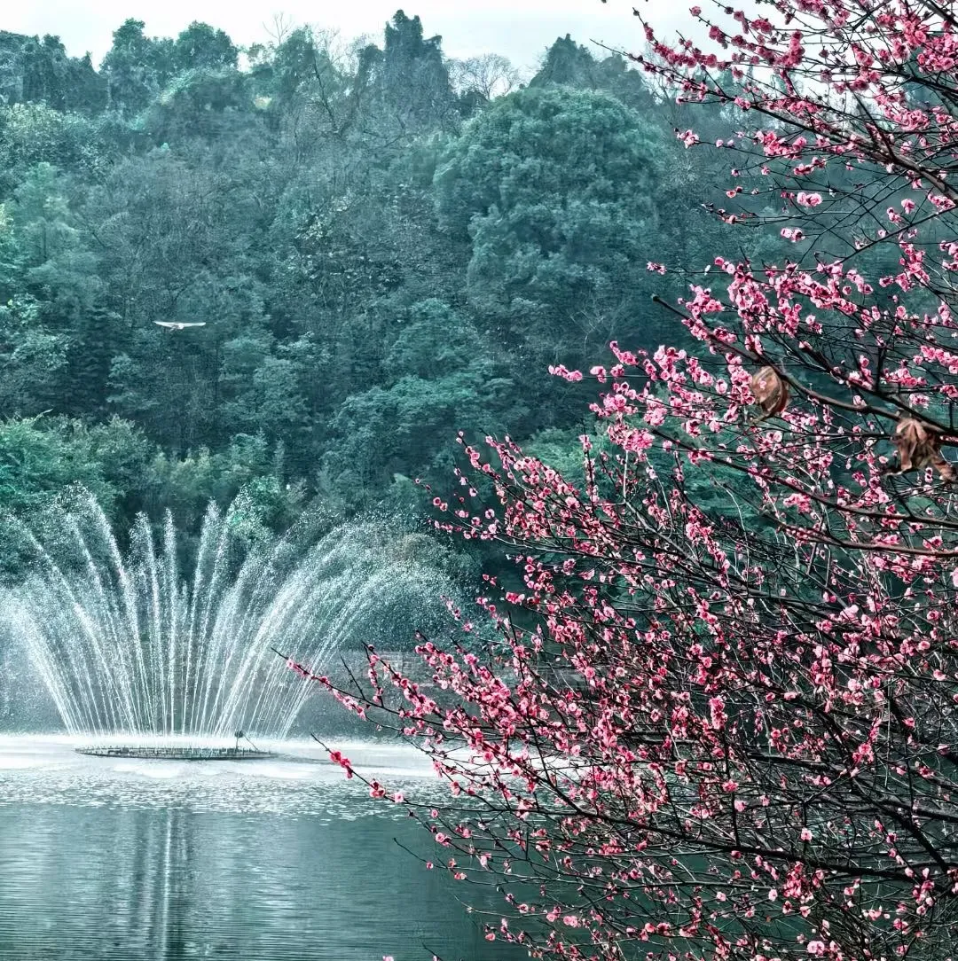 1 1