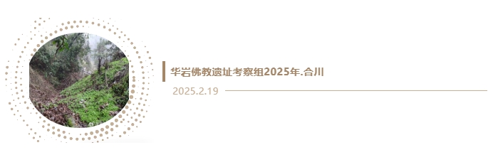 微信截图_20250304091812