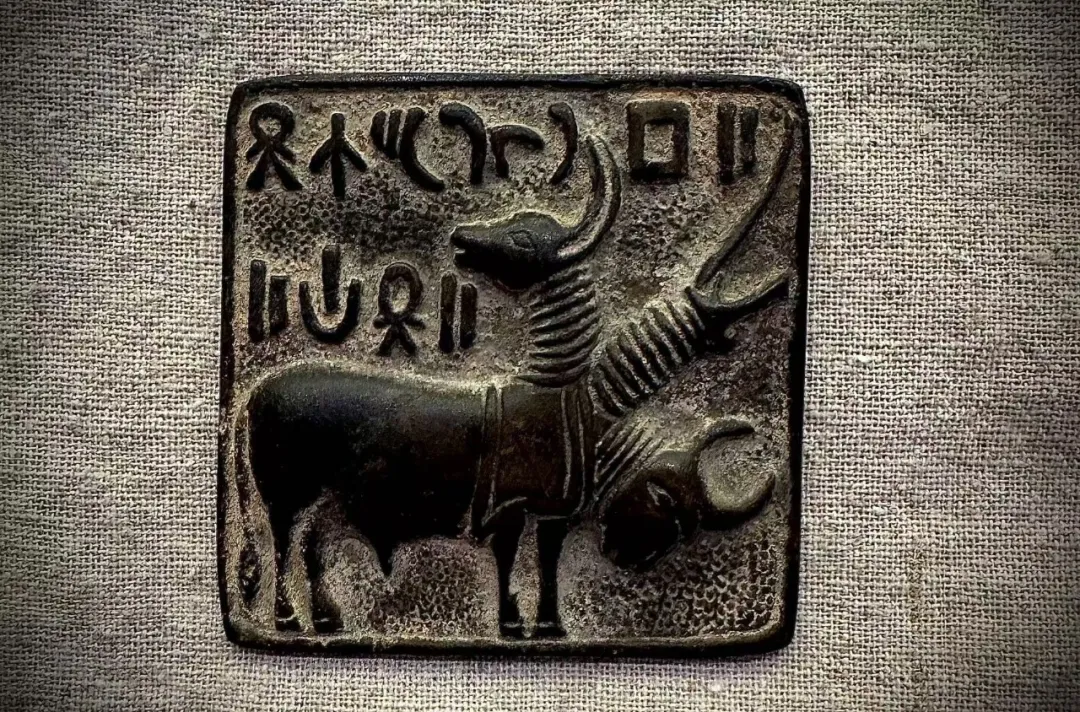 111