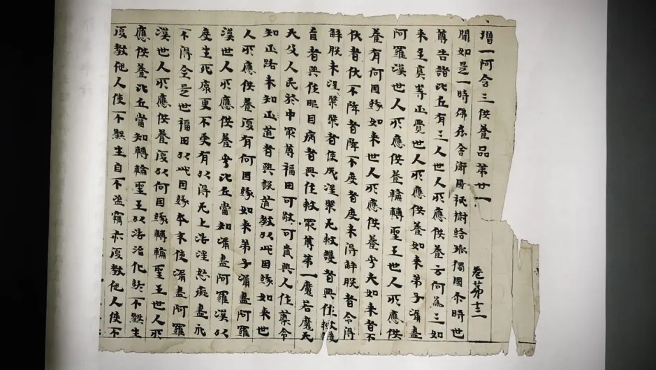 15 15
